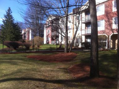 1939858_10203655033915304_7545116491322722018_o