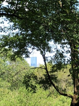 2019-07-27_13-24-28_058