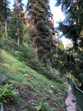 2019-09-06_15-57-51_271