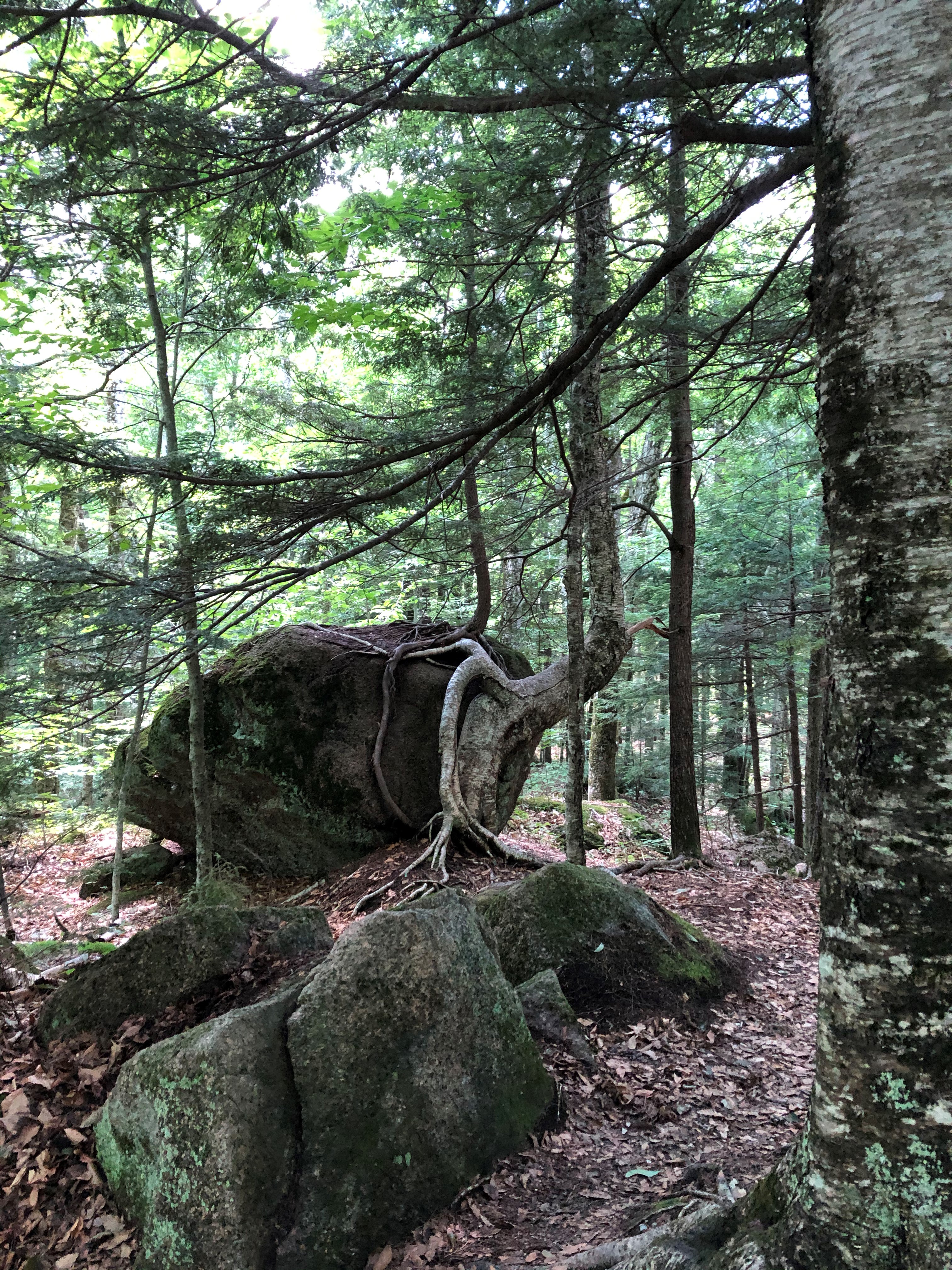 2020-07-18_14-36-24_517