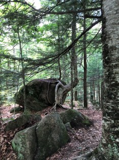 2020-07-18_14-36-24_517