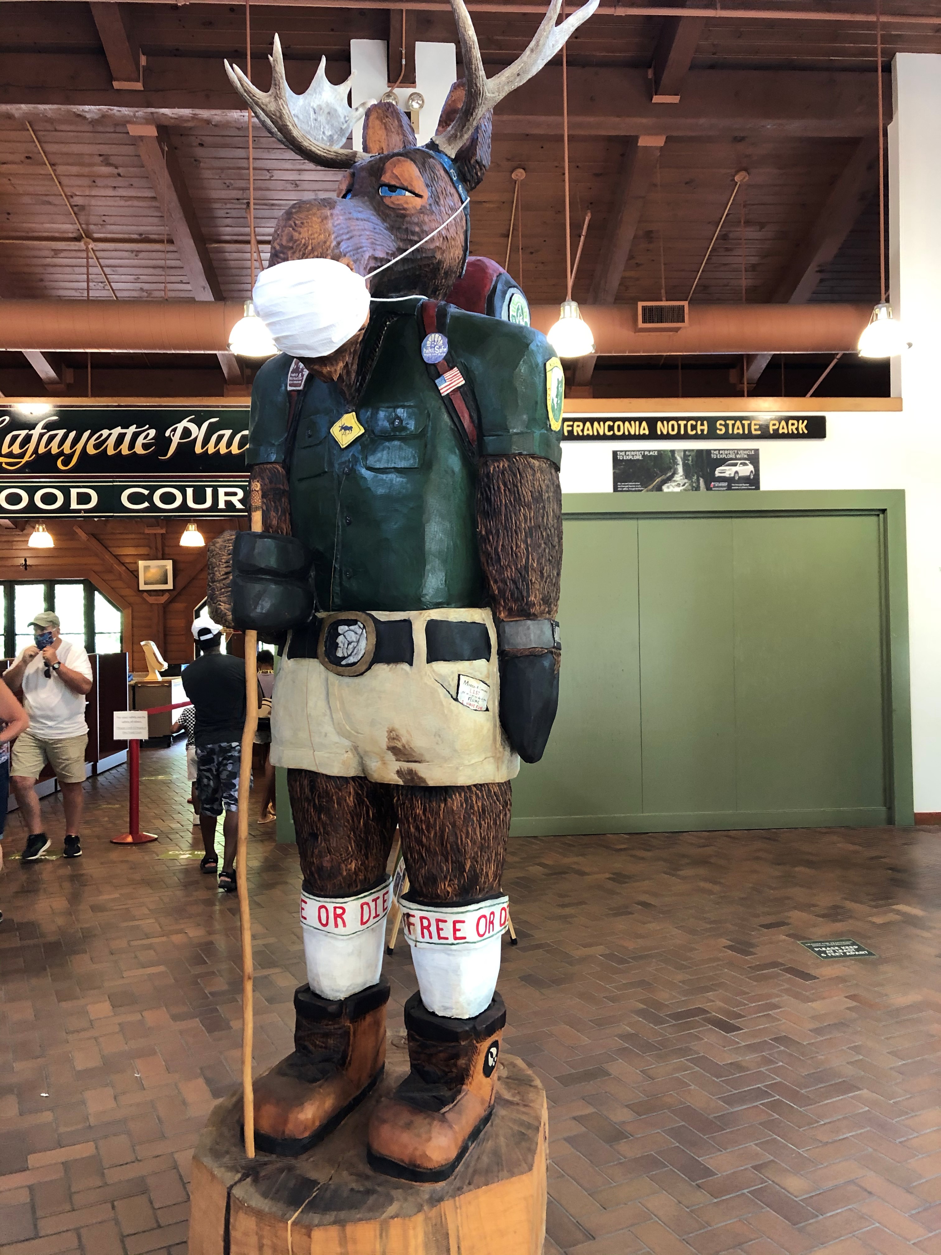 2020-07-18_15-07-31_399